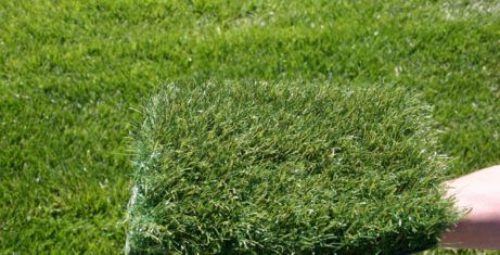 Artificial Grass vs. Real Grass