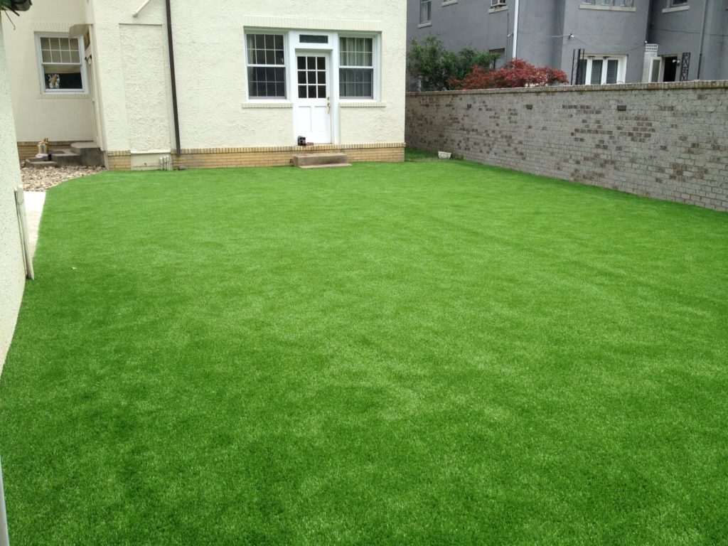 WVGrassPics2 North Carolina Synthetic Putting Greens East Coast