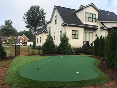 Putting Green and Fringe Turf